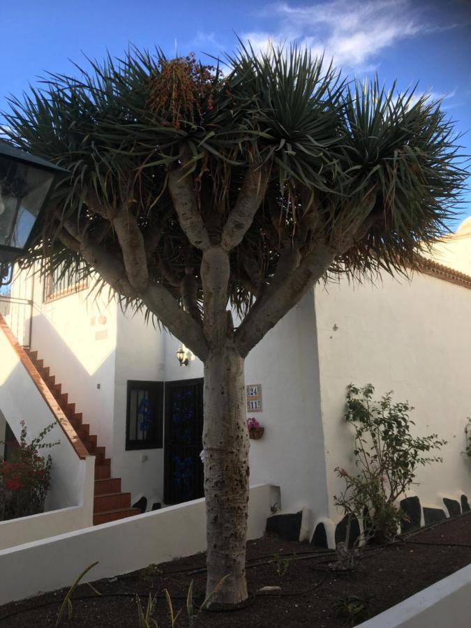 Tenerife Costa Del Silencio Zewnętrze zdjęcie